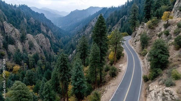 Fototapeta Winding mountain road surrounded by tall pine trees, rocky cliffs, and misty distant hills