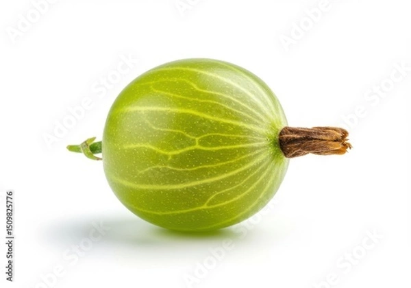 Obraz Single gooseberry isolated on transparent background