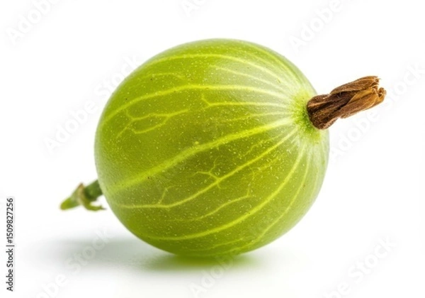 Obraz Single gooseberry isolated on transparent background