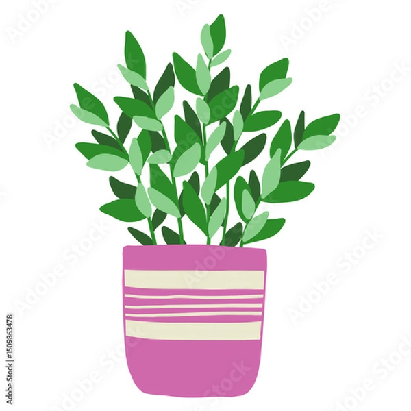 Fototapeta Houseplant in a pot on a white background. Vector illustration.
