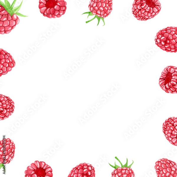 Obraz Watercolor raspberry frame with ripe, juicy berries. Hand painted summer fruit frame on white background. Botanical composition for label, logo or invitation design