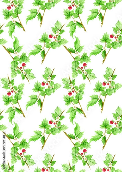 Obraz Seamless watercolor pattern with a raspberry branch with juicy berries and bright green leaves. Botanical illustration. Suitable for backgrounds, fabric, invitations and labels.