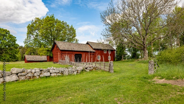 Obraz A typically red wooden house and barn in a Swedish summer landscape