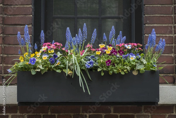 Obraz Flower Filled Window Box w Nowym Jorku