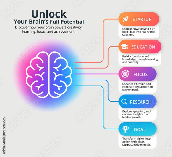 Obraz Creative brain infographic with colorful gradient background showing five sections: startup, education, focus, research, and goal. Concept for learning, growth, productivity