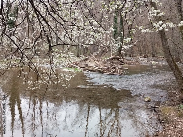 Obraz Spring on the river 5