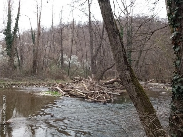 Obraz Spring on the river 2