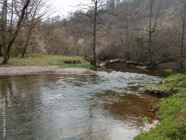 Obraz The beautiful Gradac river is one of the most beautiful in the world 5 