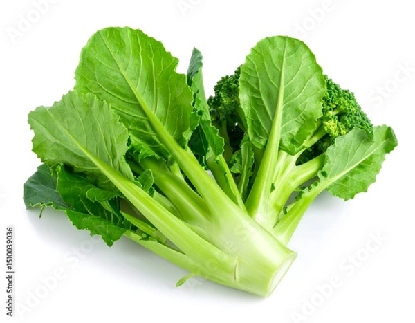 Obraz Fresh broccoli florets and leaves
