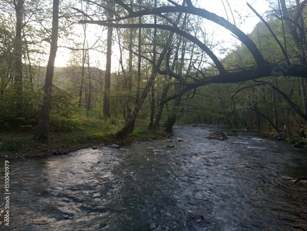 Obraz The beautiful Gradac river is one of the most beautiful in the world 5