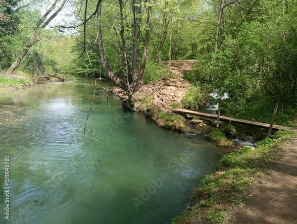 Obraz The beautiful Gradac river is one of the most beautiful in the world 2