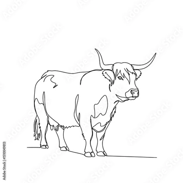 Fototapeta Highland cattle isolated on white background, a single line drawing of a scottish cow with long horns, minimalist art in black and white, a simple vector illustration