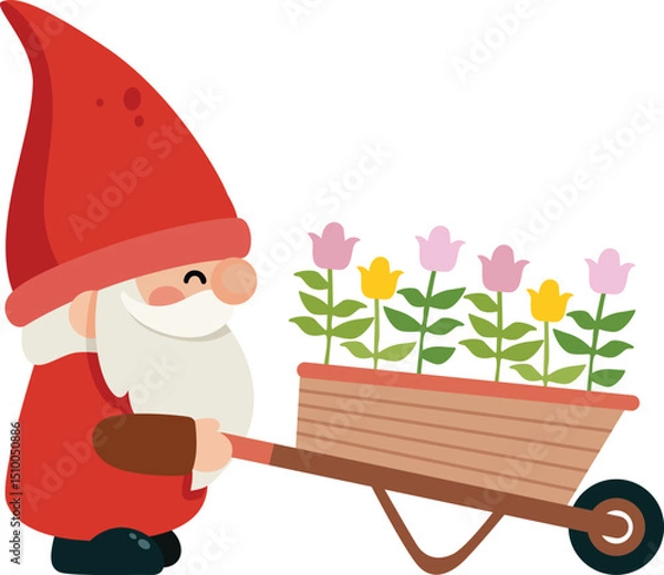 Fototapeta Happy Garden Gnome with a Wheelbarrow of Spring Flowers