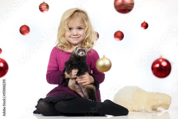 Obraz Nice little girl posing in studio for christmas portrait with ferrets