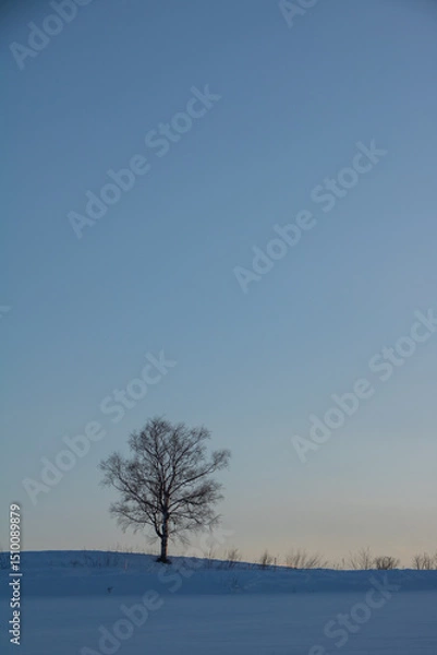 Obraz 夕暮れと冬木立
