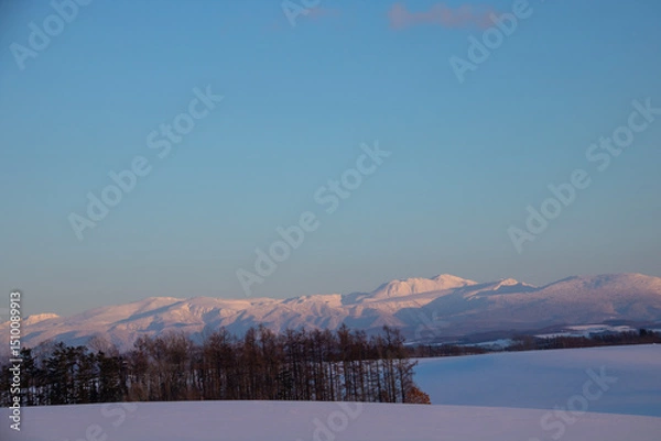 Obraz 夕日を反射する雪山と青空
