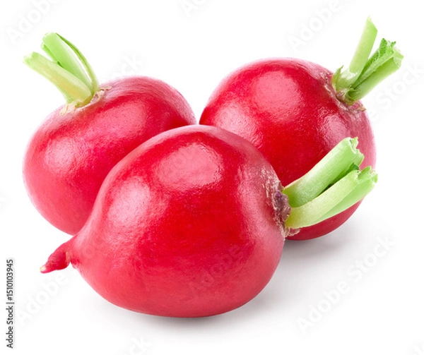 Fototapeta fresh radish isolated on white background. clipping path