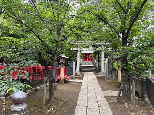 Fototapeta 七渡神社の境内