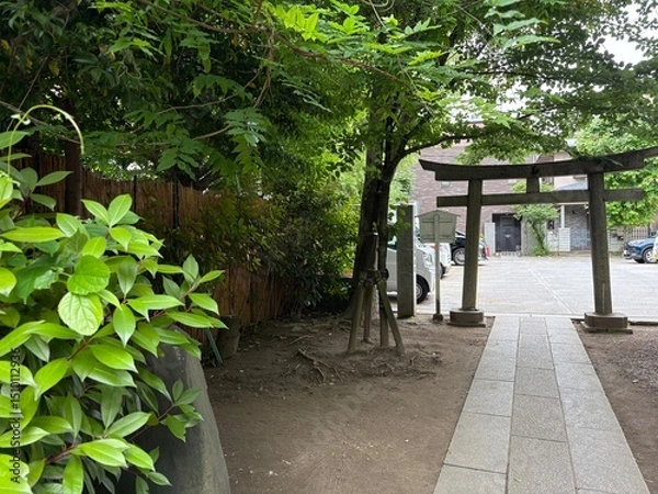 Fototapeta 七渡神社の境内