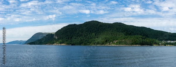 Fototapeta A lush green forest covers a coastal mountain along the Storfjord in Norway, near Solavagen, under a bright blue sky with scattered clouds on a calm, clear summer day
