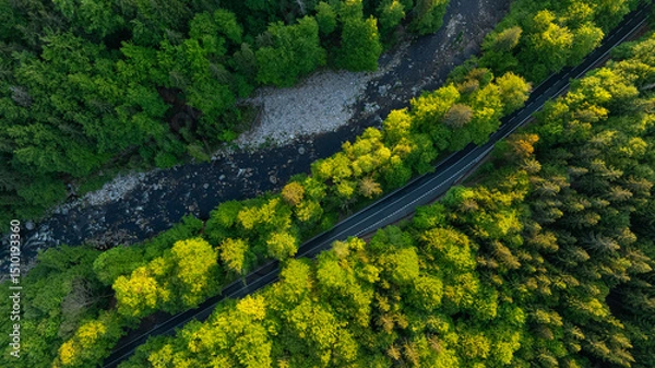 Fototapeta Fresh Spring Deep Forest with Mountain River and Asphalt Road. Beautiful Lush Vegetation with Sunset Light. Aerial View.
