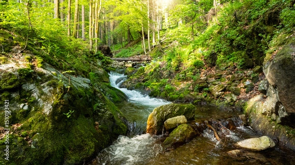 Fototapeta A Bright Small River Flowing Through Lush Spring Forest during Sunset Hour. Fresh Lush Vegetation, Low Angle of View. Wide Angle View. Beautiful Nature Landscape, Natural Background.