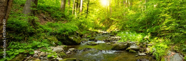 Fototapeta A Bright Small River Flowing Through Lush Spring Forest during Sunset Hour. Fresh Lush Vegetation, Low Angle of View. Wide Angle View. Beautiful Nature Landscape, Natural Background.