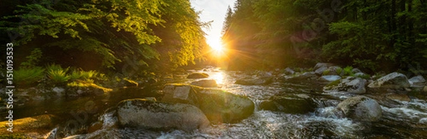 Fototapeta A Bright Small River Flowing Through Lush Spring Forest during Sunset Hour. Fresh Lush Vegetation, Low Angle of View. Wide Angle View. Beautiful Nature Landscape, Natural Background.