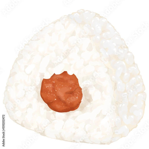 Obraz リアルでシンプルな梅干し入りおにぎりのイラス