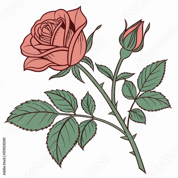 Obraz Red rose isolated on a white background