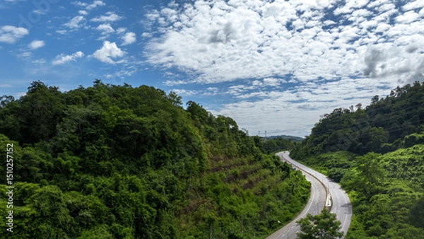 Obraz Green road in forest. Green tree nature background for carbon neutrality and net zero emissions concept. Drone view of green tree captures CO2 to Sustainable green environment.