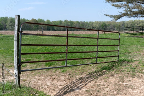 Obraz A rusty metal fence door in a Tennessee ranch