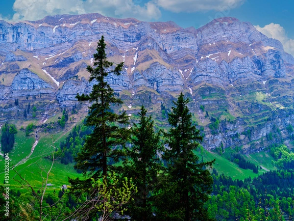 Fototapeta Stunning mountain landscape with lush greenery and tall conifer trees beneath a clear blue sky