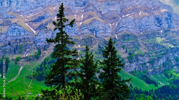 Fototapeta Majestic mountain landscape showcasing pine trees and rocky terrain under a clear sky in early morning light