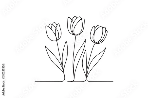 Fototapeta tulips continuous one line drawing minimalism design