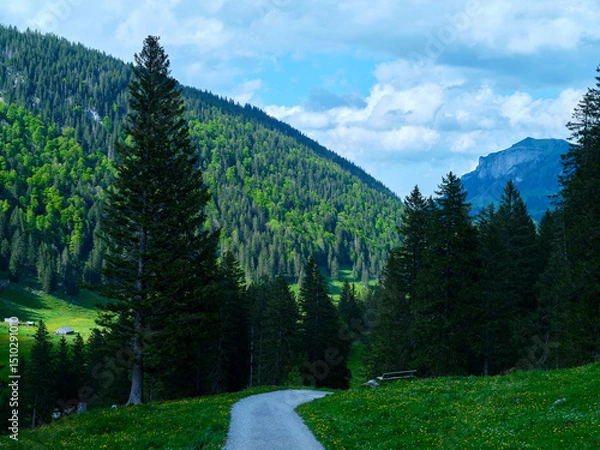 Fototapeta Scenic hiking trail winds through lush green forests and majestic mountains in the daytime