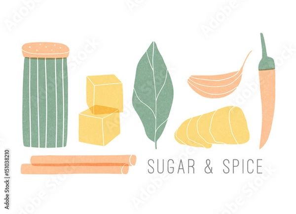 Obraz Cartoon spice set. Hand drawn colorful cooking illustration on the white background