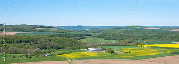 Fototapeta yellow fields in spring near reisdorf in luxemburg