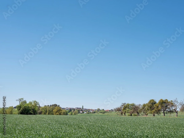 Fototapeta fields and meadows near berdorf in luxemburg countryside