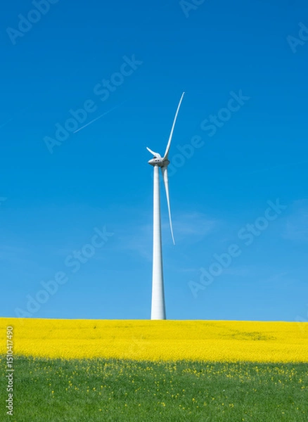 Fototapeta countryside landscape in luxemburg with wind turbine under blue sky in spring