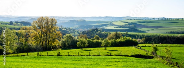 Fototapeta flowers and meadows in rolling hills of luxemburg countryside