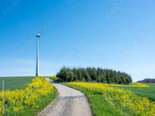 Fototapeta countryside landscape in luxemburg with wind turbine under blue sky in spring