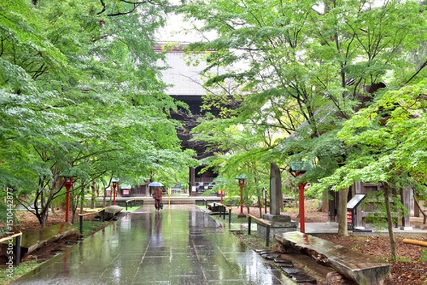 Obraz 雨の日の九品仏浄真寺境内を歩く人