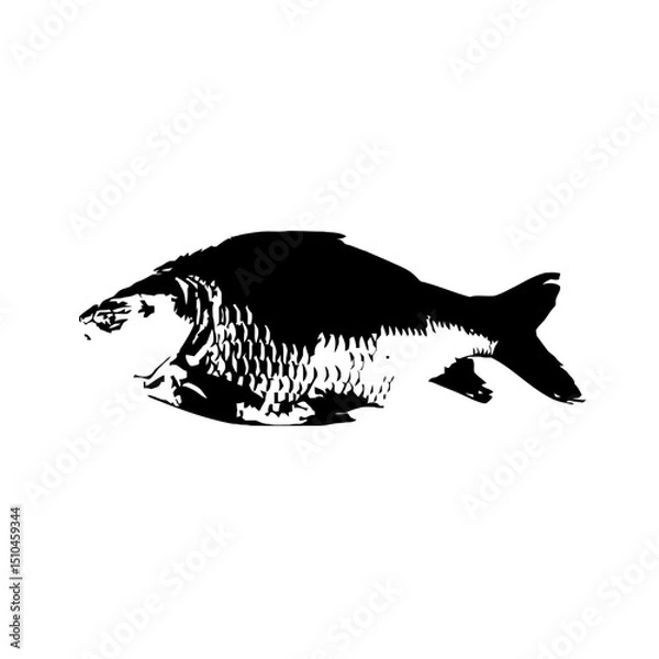 Obraz Silhouette vector illustration of a carp fish isolated on white background