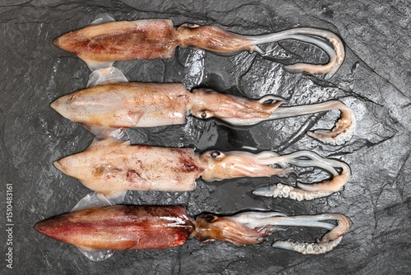 Obraz fresh squids close up on a slate board in kitchen ready to fry or cook