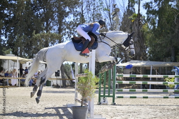 Fototapeta Equestrian Rider and Horse Clearing a Jump in a Showjumping Competition