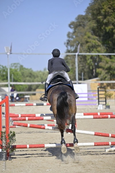 Fototapeta Equestrian Rider and Horse Clearing a Jump in a Showjumping Competition