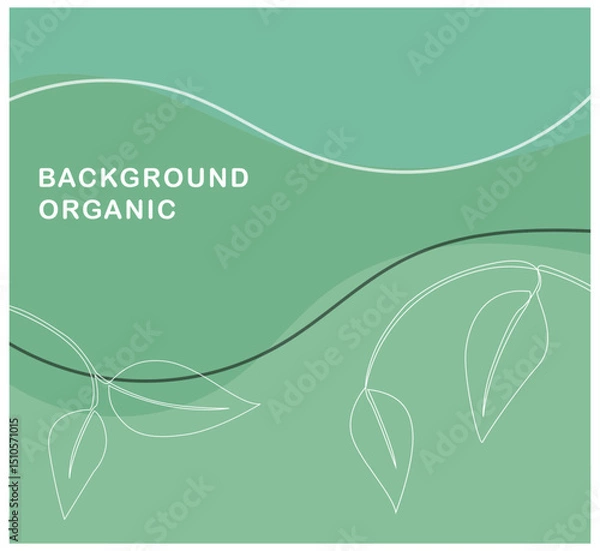 Fototapeta Clean and calming green background featuring flowing organic shapes and elegant white lined leaves. A minimalist and fresh look with a natural touch.