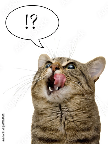 Obraz I like to eat!