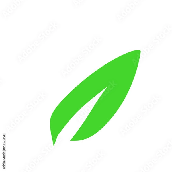 Obraz green leaf
